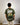 Patta Shirt - Maat M