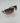 Gucci Glasses