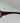 Gucci Glasses