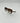 Gucci Glasses